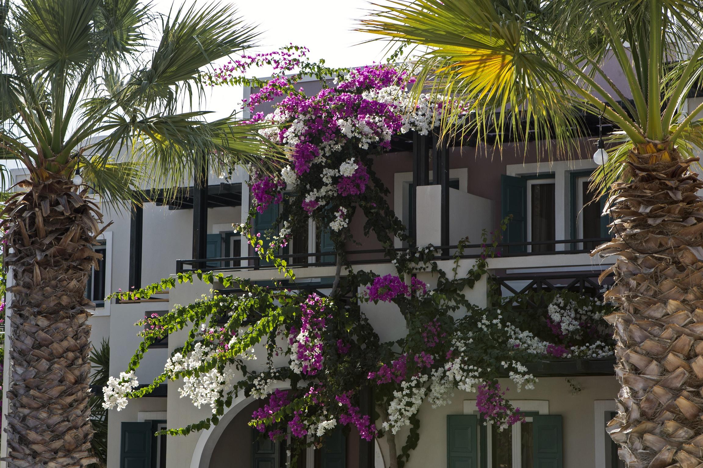Rose Bay Hotel Kamári Exteriör bild